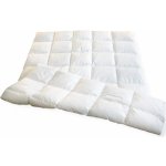 Lina Péřová přikrývka bílá 10% prachového peří zbytek obsahuje kvalitní husí drané peří 200x200 – Sleviste.cz