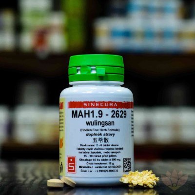 Sinecura MAH1.9-2629 60 tablet – Hledejceny.cz