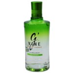 G’Vine Gin de France Floraison 40% 1 l (holá láhev) – Zbozi.Blesk.cz