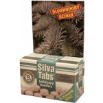 SILVA TABS na jehličnany 250g – Sleviste.cz
