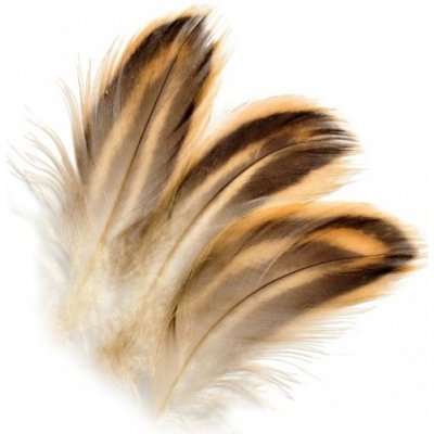 Veniard Mallard Duck Hen Flank Feathers Kachna divoká – Hledejceny.cz