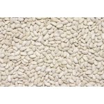 Les Fruits du Paradis Bílá fazole Bio 3000 g – Zboží Dáma