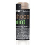 Hurraw! Mint balzám na rty 4,80 g – Zboží Dáma