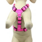 animALL Postroj popruhový – Sleviste.cz