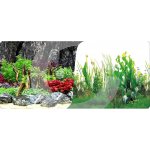 Macenauer fototapeta 11S 60 x 30 cm – Zboží Dáma