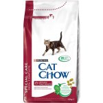 Cat Chow Adult Special Care Urinary Tract Health 2 x 15 kg – Hledejceny.cz