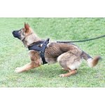 Drlý Postroj PM 40 s uchem na obranu – Zbozi.Blesk.cz