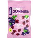 DMHERMES TRADE BOMBUS FRUIT ENERGY black currant gummies 35 g