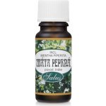 Saloos Éterický olej MÁTA PEPRNÁ 20 ml – Hledejceny.cz