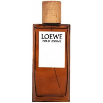 Loewe Pour Homme toaletní voda pánská 100 ml