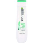 Matrix Biolage ScalpSync Cool Shampoo Mint 250 ml – Zbozi.Blesk.cz