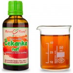 Bylinné kapky Čekanka nať tinktura 50 ml – Hledejceny.cz