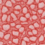 Pebeo Fantasy efektová barva Prisme 45 ml Icy Pink – Hledejceny.cz