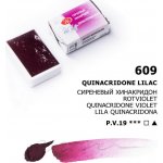Nevskaya Palitra Akvarelová barva White Nights 2,5 ml Quinacridone Lilac – Zboží Mobilmania