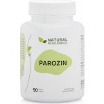 Natural Medicaments Parazin 90 kapslí – Hledejceny.cz