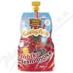 Ovocňák Mošt jablko lesní ovoce 250 ml – Zboží Dáma