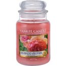 Yankee Candle Sun-Drenched Apricot Rose 623 g