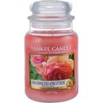 Yankee Candle Sun-Drenched Apricot Rose 623 g – Zbozi.Blesk.cz