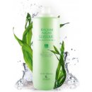 Lendan Balsam Algas Glycolic balzám na vlasy 1000 ml