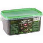 Diversa Nutriplant 5 l – Zboží Dáma