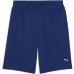 Puma ESS No. 1 Logo Shorts 10" TR M 68471549 blue jewel – Hledejceny.cz