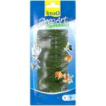 Tetra Green Cabomba 23 cm – Zbozi.Blesk.cz