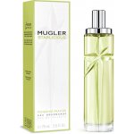 Thierry Mugler Starlicious Pistachio Praline toaletní voda dámská 75 ml – Hledejceny.cz