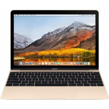 Apple MacBook MRQN2SL/A