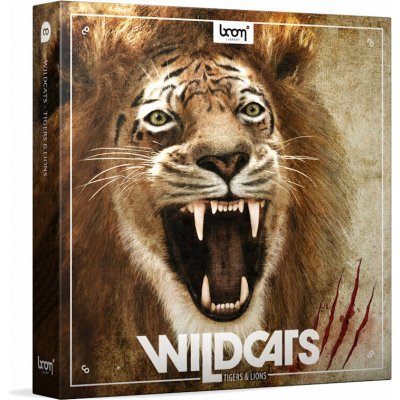 BOOM LIBRARY Wildcats (Digitální produkt)