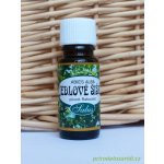 Saloos esenciální olej Jedlové šišky 10 ml – Hledejceny.cz