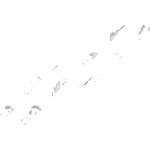 NTY Nylonové stahovací pásky Road-teq rozměr: 4 8X500MM 100ks bílé (CTW-5X500) – Hledejceny.cz
