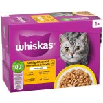 Whiskas 1+ Adult Multipack 12 x 85 g / 100 g drůbeží výběr v želé 12 x 85 g – Hledejceny.cz