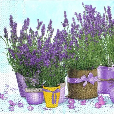 Ubrousek 33x33cm Levandule – HobbyKompas.cz