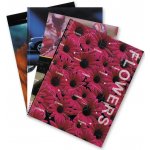 Concorde Záznamní kniha A5 čistá 100 listů – Sleviste.cz