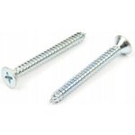 Šrouby do dřeva WT WINTECH a.s. 1 x 1 mm 1 ks – Hledejceny.cz