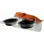 Repti Planet krmítko akrylové 2 misky 15x8x6,2 cm – Zboží Dáma Repti Planet krmítko akrylové 2 misky 15x8x6,2 cm – Zboží Dáma
