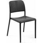 ITTC Stima Bora tortora – Hledejceny.cz