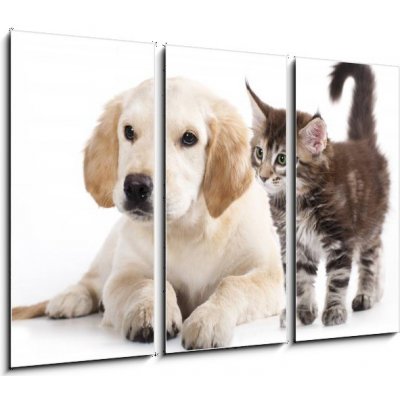 Obraz 3D třídílný - 105 x 70 cm - Cat and dog Kočka a pes – Zboží Mobilmania