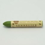 Sennelier olejový pastel 5 ml 046 olive green – Zboží Mobilmania