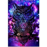 Norimpex Diamantové malování Magická sova 30 x 40 cm – Hledejceny.cz