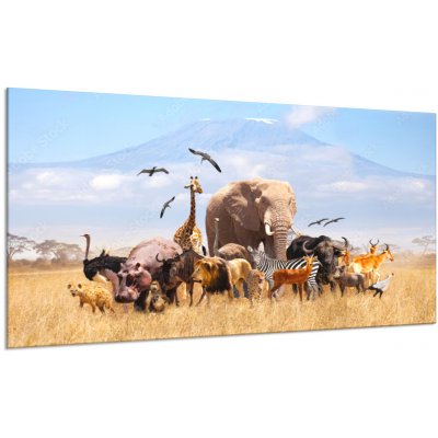 Obraz skleněný africké zvířata v přírodě - 30 x 60 cm