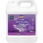 Ronney Silver Power Anti Yellow šampon na vlasy 5000 ml – Zboží Dáma