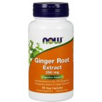 Now Foods Ginger Root Extract Kořen zázvoru 250 mg x 90 rostlinných kapslí – Hledejceny.cz