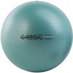 PEZZI GymBall MAX 65 cm – Zboží Mobilmania