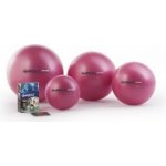 PEZZI GymBall MAX 75 cm – Zboží Mobilmania