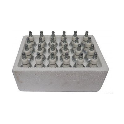 Zapalovací svíčka Champion RJ19LM | Zboží Auto