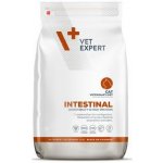VetExpert VD 4T Intestinal Cat 250 g – Zbozi.Blesk.cz