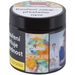 Hookain Punani 50 g – HobbyKompas.cz