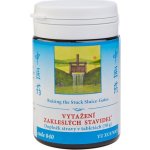 TCM Herbs Vytažení zakleslých stavidel 100 tablet – Hledejceny.cz