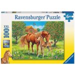 Ravensburger Koně na pastvině 100 dílků – Hledejceny.cz